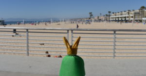 Read more about the article Stunning Views at Hermosa Beach Pier