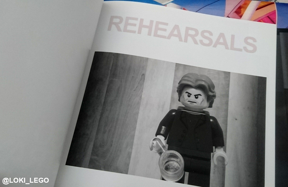 The LEGO Betrayal Book