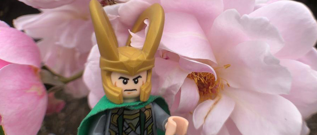 Read more about the article Enjoying Beautiful Midgardian Flowers